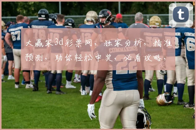 大赢家3d彩票网，独家分析，精准预测，助你轻松中奖，必看攻略，不容错过